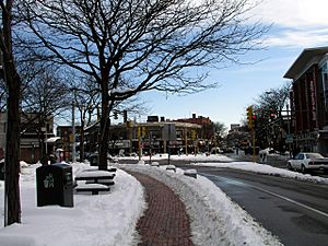 Davis-square-january-2009