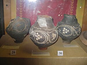 Decorated Nene Valley Roman Pottery, Wisbech Museum