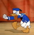 Donald Duck - temper