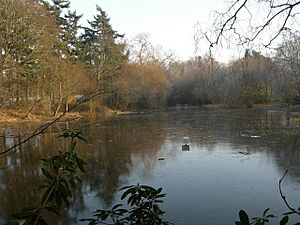 Dry pond - geograph.org.uk - 637409