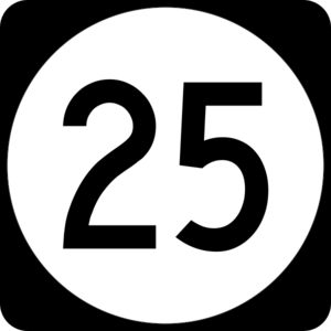 Elongated circle 25