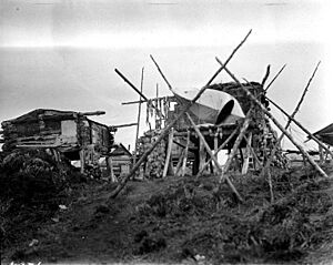 Eskimo dwellings, Egegik, Alaska, ca 1917 (COBB 131)