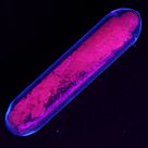 Europium glowing red under UV light