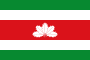 Flag of Boyaca Department