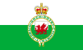 Flag of Wales (1953-1959)
