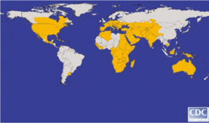 Global distribution of West Nile virus-CDC