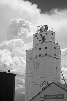 Grain Elevator in Okarche, OK (4244774911)
