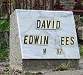 Grave 24 16 213 David - Edwin & Rees