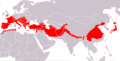 Greater Horseshoe Bat area
