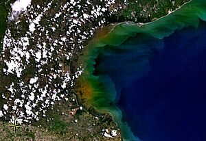 Gulf of Parita NASA