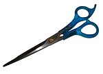 Hair Cutting Scissors.jpg