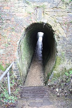 Horse tunnel Cosgrove