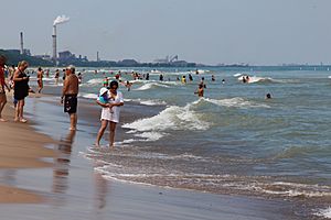 Indiana Dunes State Park, on the southern tip of Lake Michigan