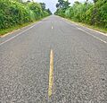 IslandBeachRoad