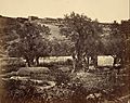 James Robertson (British - The Garden of Gethsemane - Google Art Project