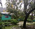 Jardin James Norman Hall