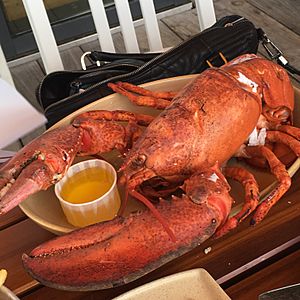 Lobster in Boston