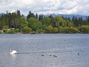 Lost Lagoon Vancouver BC