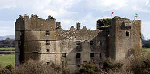 Loughmore Castle.JPG