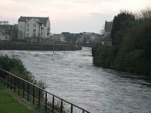 LowerCorrib3