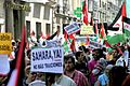 Manifestation in Madrid for the independence of the Western Sahara (11)