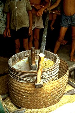 Manual rice mill