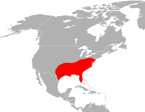 Mapa distribución lobo rojo (canis rufus)