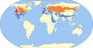 Mareca strepera map.svg