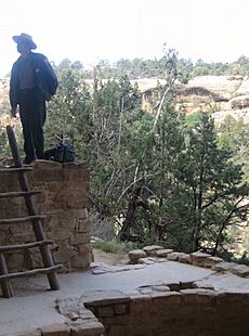 Mesa Verde park ranger