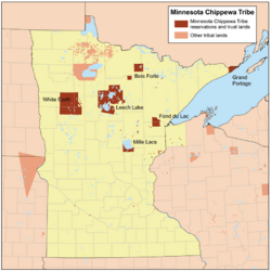 Member bands of the Minnesota Chippewa Tribe