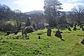 Monmouth Cemetery - Looking towards the Chapel from half way up the hill