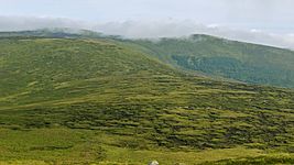 Mullaghcleevaun Boggy Ridge