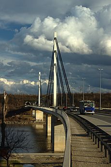 Novi Sad, Most Slobode, pilíře