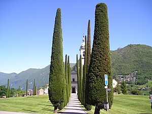 P5082065