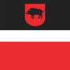 Flag of Łęczna