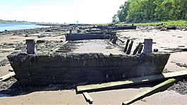 Park Quay, ship graveyard mud punts wrecks, River Clyde, Erskine - view east