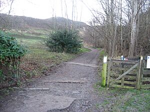 Path to Pentland Hills from Swanston