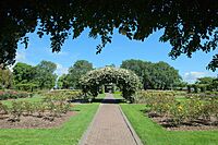 Path towards arbor in Frimley Park's rose garden.jpg