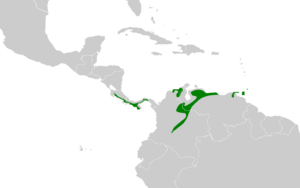 Pheugopedius rutilus map.svg