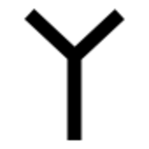 Phoenician waw