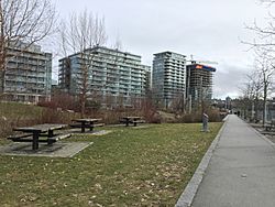 Picnic Tables, March 2017