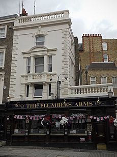 Plumbers Arms in Lower Belgrave Street (June 2012)