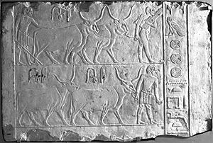 Relief of Men Presenting Oxen, ca. 2500-2350 B.C.E. Limestone