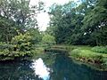River Dun, near Dunbridge, Hampshire - geograph.org.uk - 145262