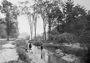 Rosedale Ravine, Toronto, Canada (1890).jpg