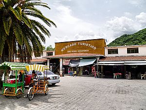 Village Market & Tourist Centre
