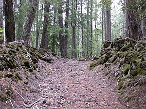 Santiam Wagon Road - Lava Field Management Segment