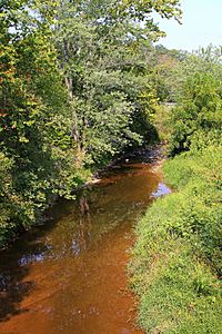 Schwaben Creek looking upstream in September 2015.JPG