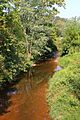 Schwaben Creek looking upstream in September 2015