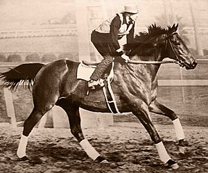 Seabiscuit workout with GW up